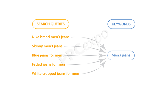 search terms