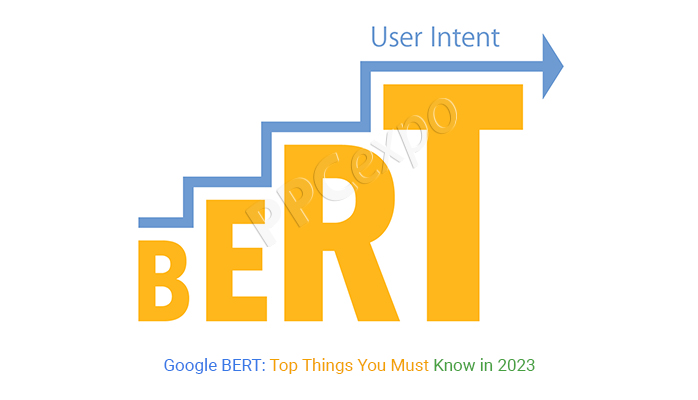 google bert algorithm update